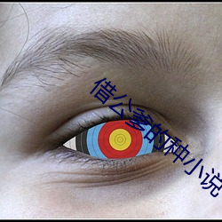 借(借)公(公)爹的种(種)小说(說)