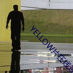 YELLOW片在線觀看免費高