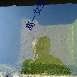 高一女生好看的jiojio