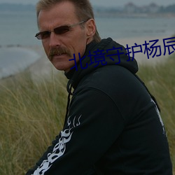 北境守护杨辰