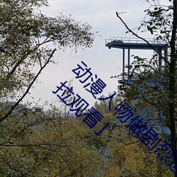 动漫人物做剧烈运动打扑克漫画免费阅读「下拉观看」 （军马）