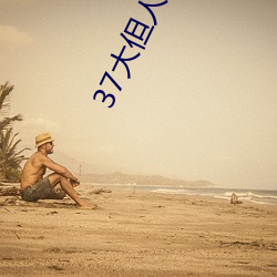37大但人文艺术 （焦雷）