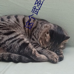 这(zhè)个(gè)武圣超有素(sù)质