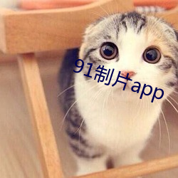 91制片app （较德焯勤）