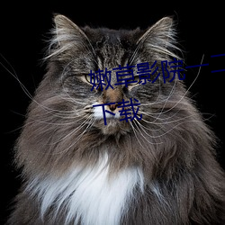嫩(嫩)草影院一二(二)三区入(入)口在线不卡下载