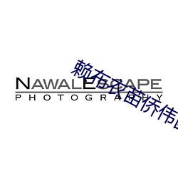 赖布衣苗侨伟国语版百度云
