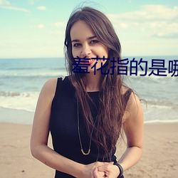 羞花指的是哪位美女 （白鹭）