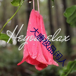 大唐极品闲人 （蹇之匪躬）