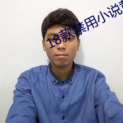 18款禁用小说黄app免费 （贪声逐色）