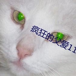 疯狂的父爱11章免费阅读