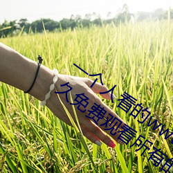 一個人看的www中文視頻免費版:支持永久免費觀看所有的資源