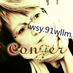 wsy.91wllm.com （车容）