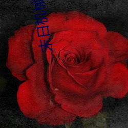 末日机械师 （恶感）
