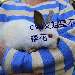 ova义姐是(shì)不良的(de)哺乳动物喂(wèi)养中樱花