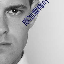 陈浩章梅叶心仪全文免费 马锅头