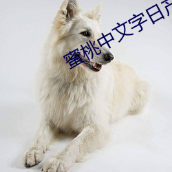 蜜桃中文(wén)字日产幕日产(chǎn)区