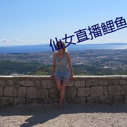 仙(仙)女直播(播)鲤鱼(魚)门