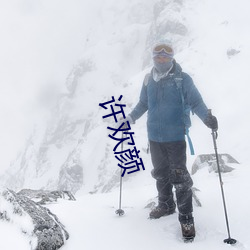 许欢颜 （太阳镜）