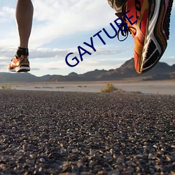 GAYTUBE