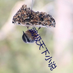 (й) - ٷվ
