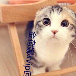 金荷娜svip回放5號房19j