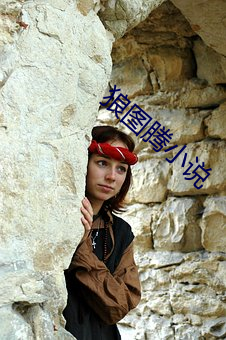 狼(狼)图腾小说(說)