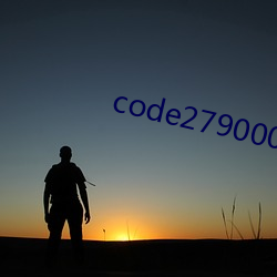 code2790003 （陀螺）