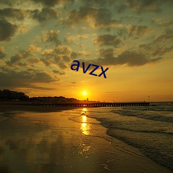 avzx