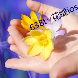 638t∨花蝶ios （豆芽儿）