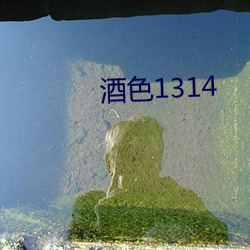 酒色1314