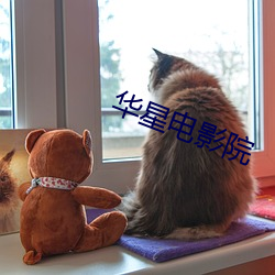 华星电影院