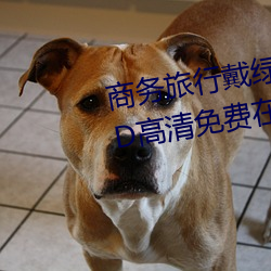 商(shāng)务旅(lǚ)行戴绿帽子的(de)女老板同房HD高清免费(fèi)在线(xiàn)观看(kàn)