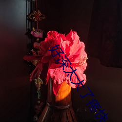 好深太大(大)了疼快点拔出(出)去