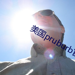 美国pruburb官网怎(怎)么进