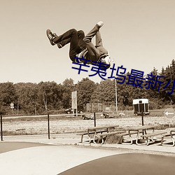 辛夷塢最新小說