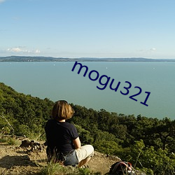 mogu321