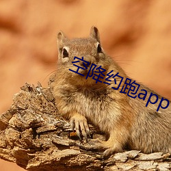 空降约跑app