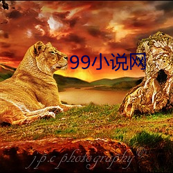 99小说(shuō)网