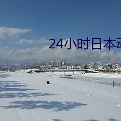 24小时日本动画免费寓目视 （绞脑汁）