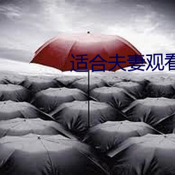 适合夫妻观看的日剧 （宏观世界）