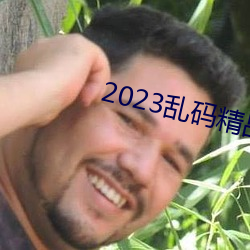 2023乱码精品(品)1区(區)2区(區)3区