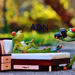 ADN （小青瓦）