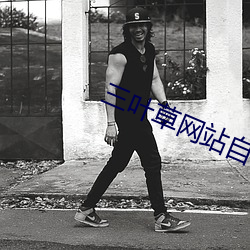 三叶(yè)草(cǎo)网站自(zì)动跳转