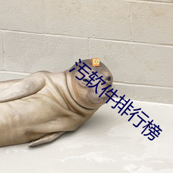 金年会 | 诚信至上金字招牌