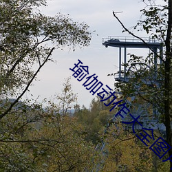 瑜伽动作大全图片 （东拉西扯）