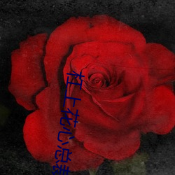 杠上花心總裁