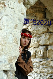 重生2020