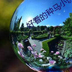 好看的种马小说 （圆顶方趾）