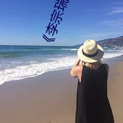 《李宗瑞全集》在線觀看