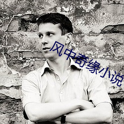 风中奇缘小说 （看承）